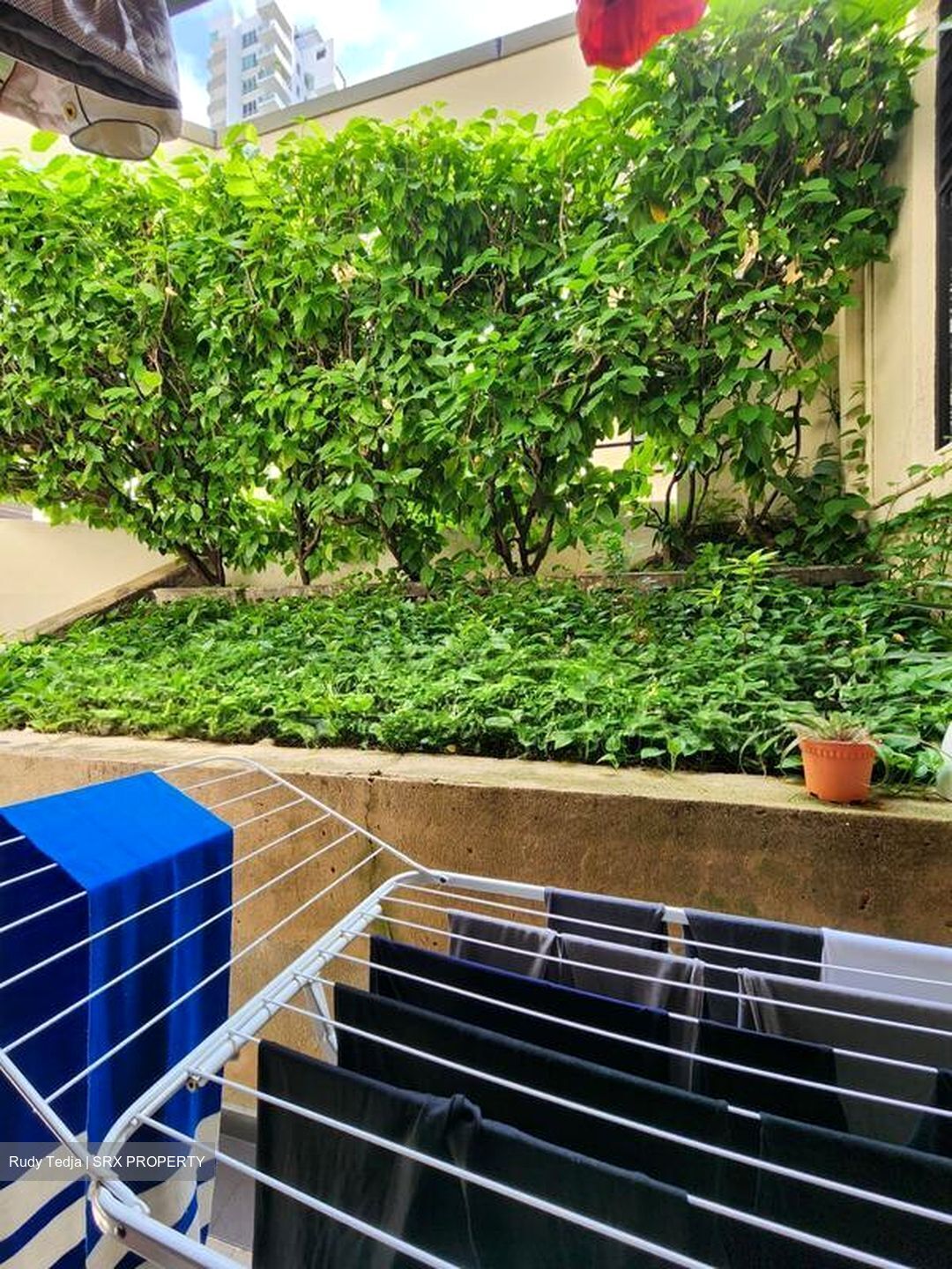 The Draycott (D10), Apartment #496575771